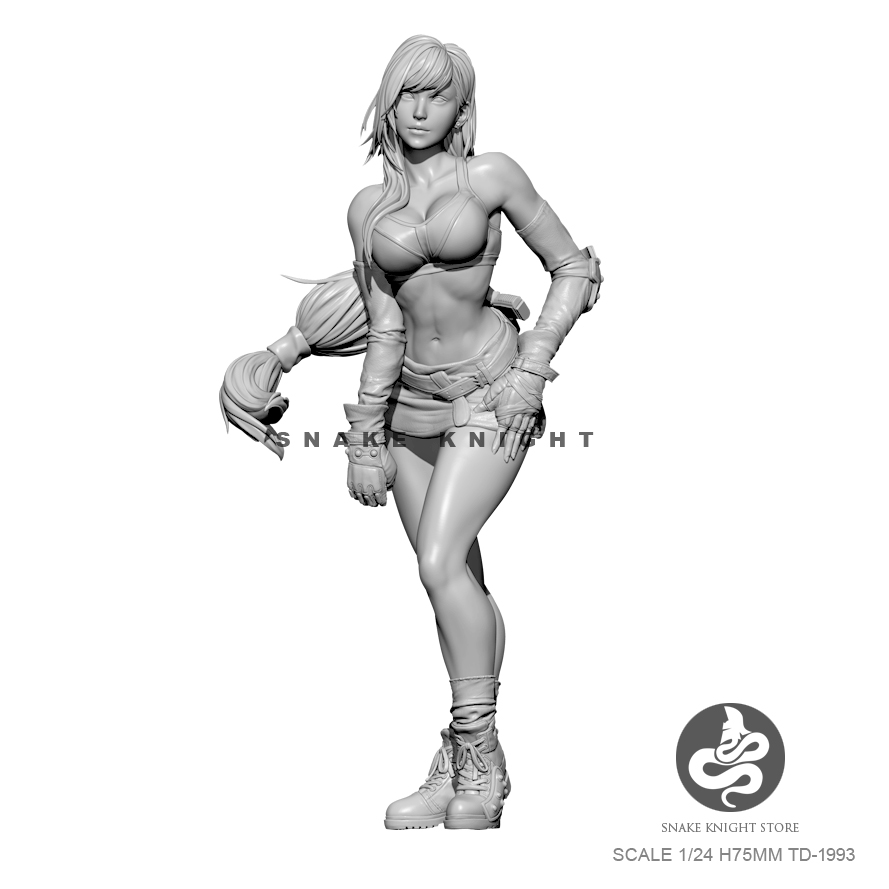 1/24 резиновые наборы, модель  – обзор и цена Model Kit Galahad